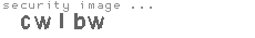 security image