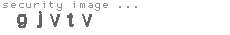 security image