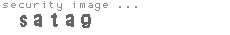 security image