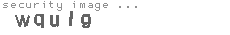 security image