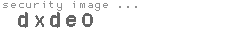 security image
