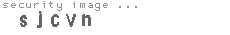 security image