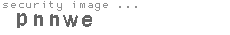 security image