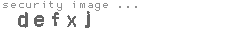 security image