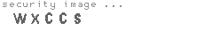 security image