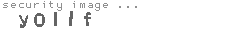 security image