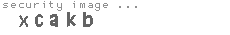 security image