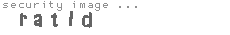 security image