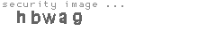 security image