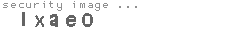 security image