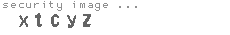 security image