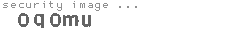 security image