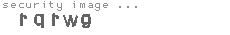 security image