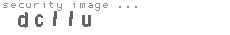 security image