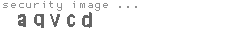 security image