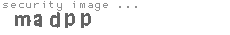 security image