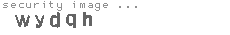 security image