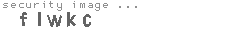 security image