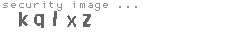 security image