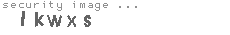security image