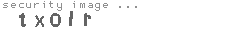 security image