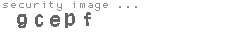 security image