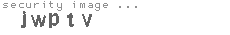 security image