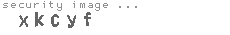security image