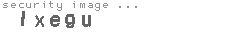 security image