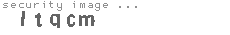security image