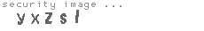 security image