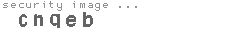 security image