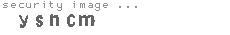 security image