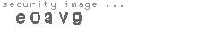 security image