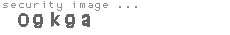 security image
