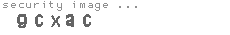 security image