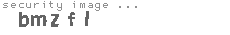 security image