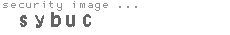 security image