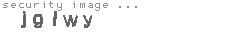 security image