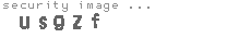 security image