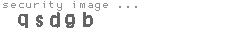 security image