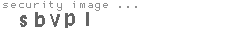security image
