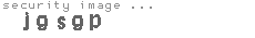 security image